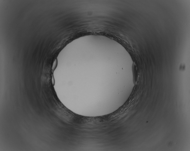 X0000089361012200707131610