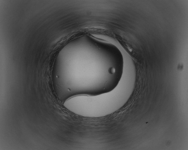 X0000089361014200707131610