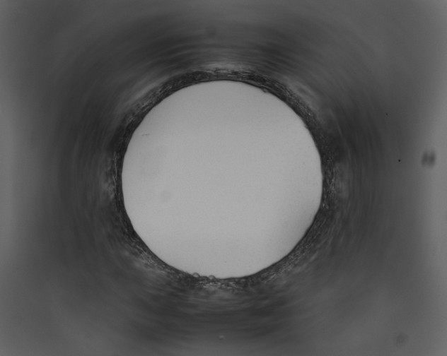 X0000089361015200707131610