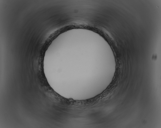 X0000089361016200707131610