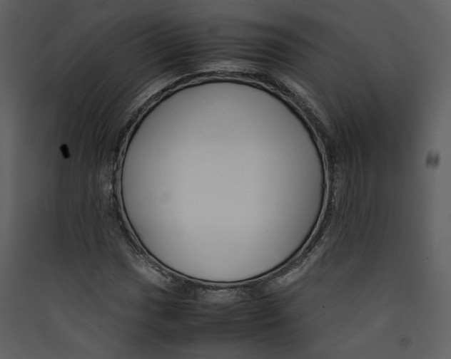 X0000089361017200707131610