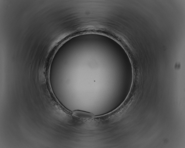 X0000089361018200707131610