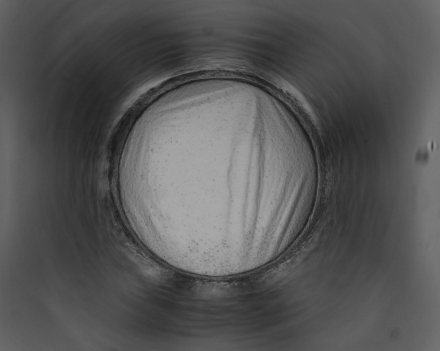X0000089361019200707131610