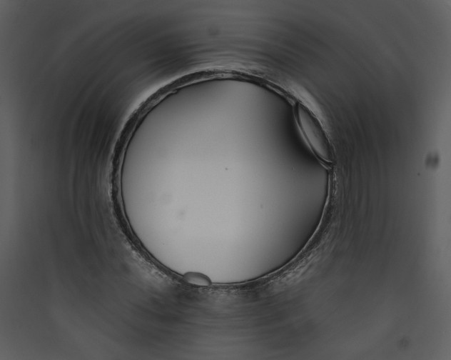 X0000089361020200707131610