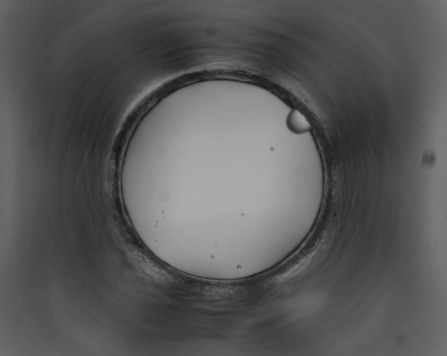 X0000089361021200707131610