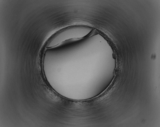 X0000089361022200707131610