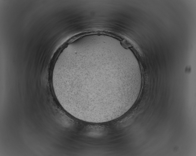 X0000089361023200707131610