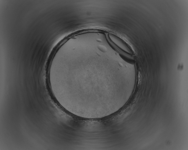 X0000089361024200707131611