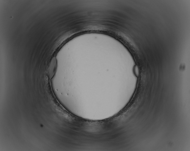 X0000089361025200707131611