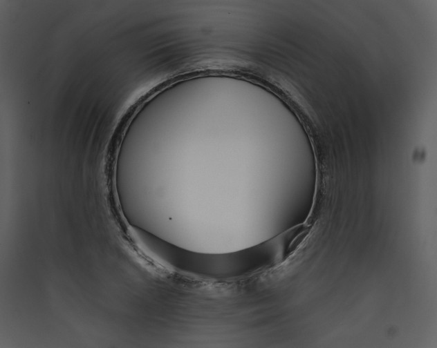 X0000089361026200707131611