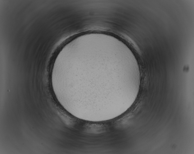 X0000089361027200707131611