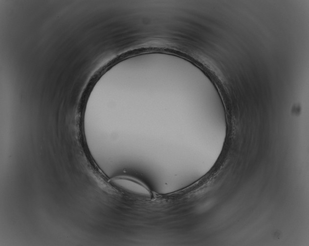 X0000089361029200707131611