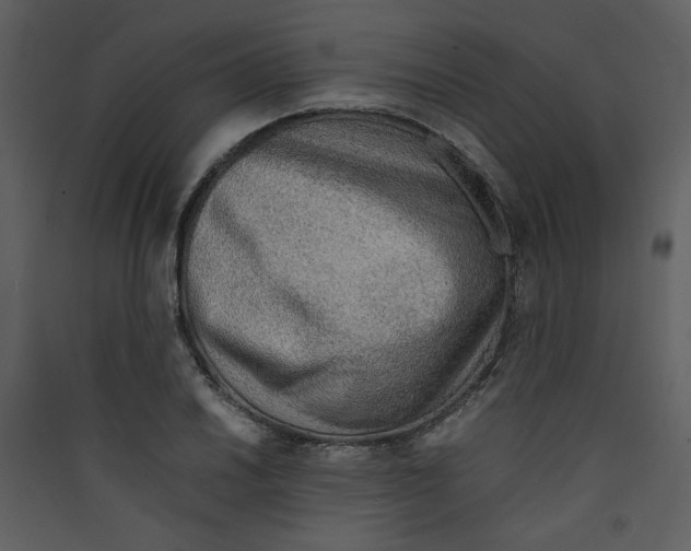 X0000089361030200707131611