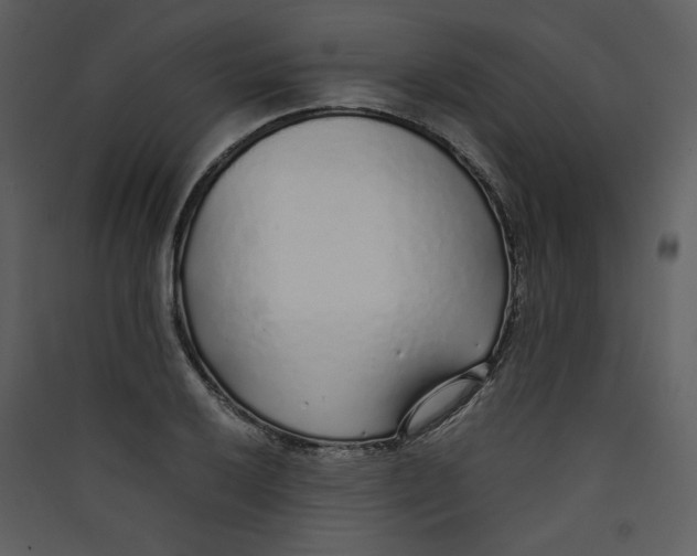 X0000089361032200707131611