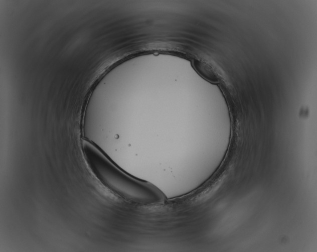 X0000089361033200707131611
