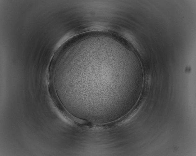 X0000089361034200707131611