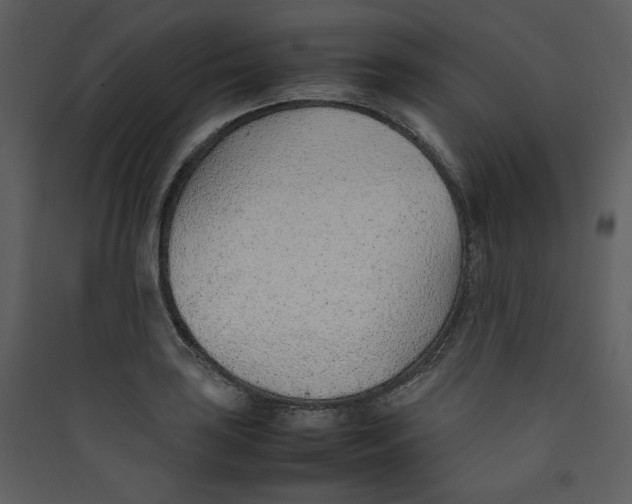 X0000089361035200707131611