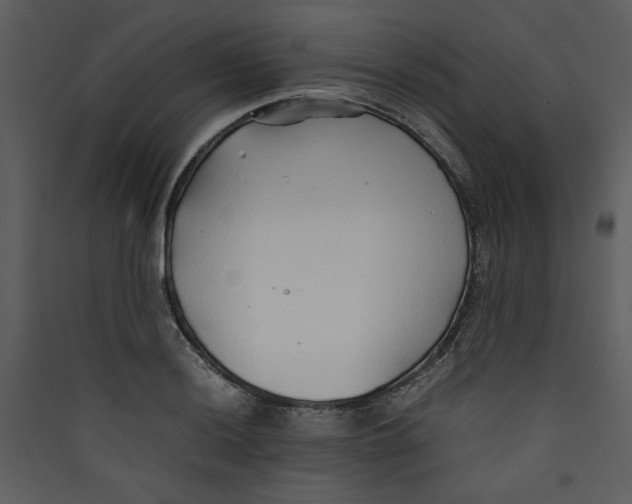 X0000089361036200707131611