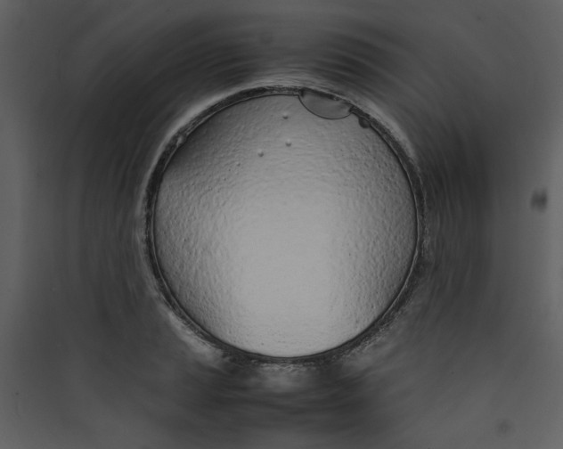 X0000089361037200707131611