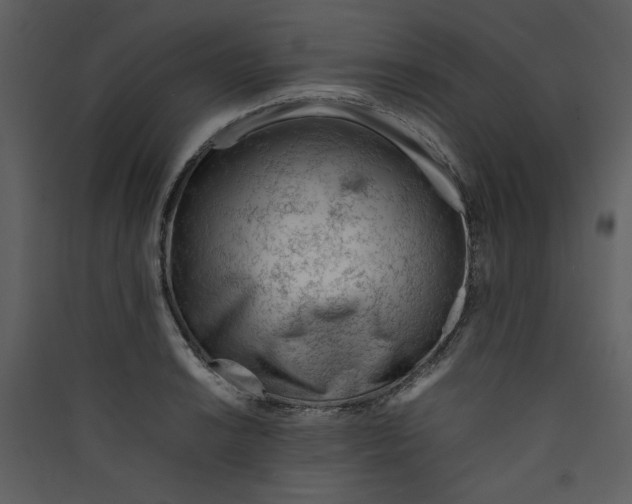 X0000089361038200707131611