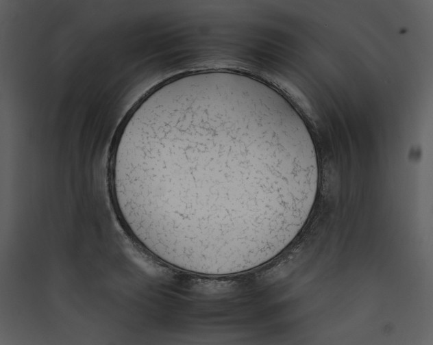 X0000089361039200707131611