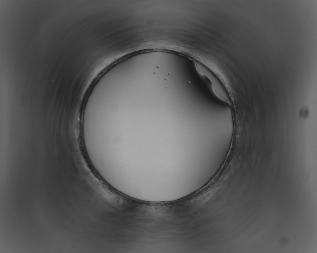 X0000089361040200707131611