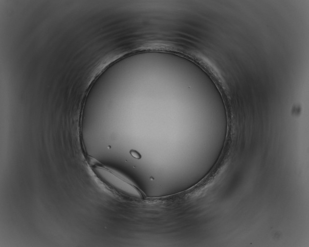 X0000089361041200707131611