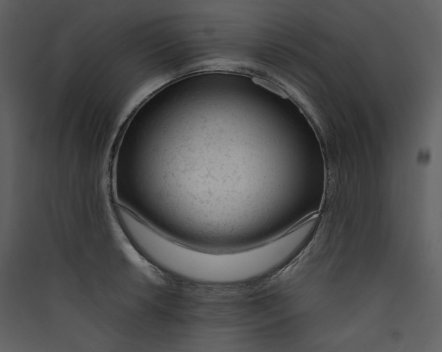 X0000089361042200707131611