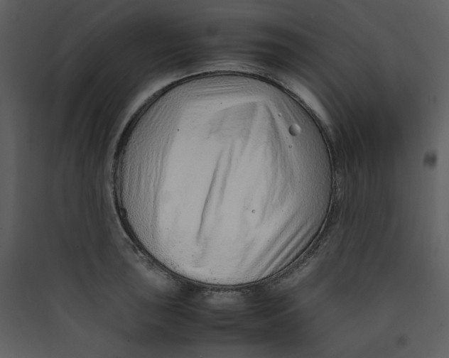 X0000089361043200707131611