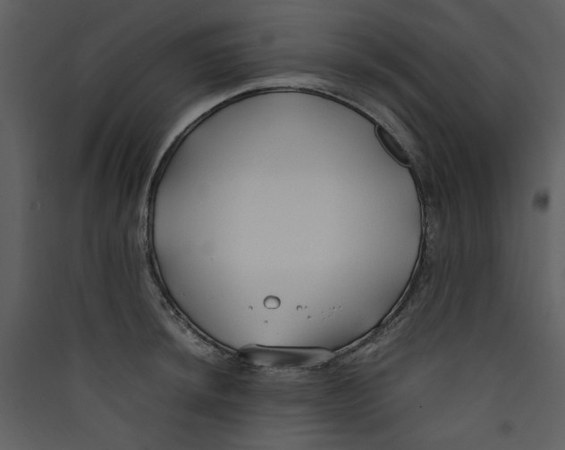 X0000089361044200707131611