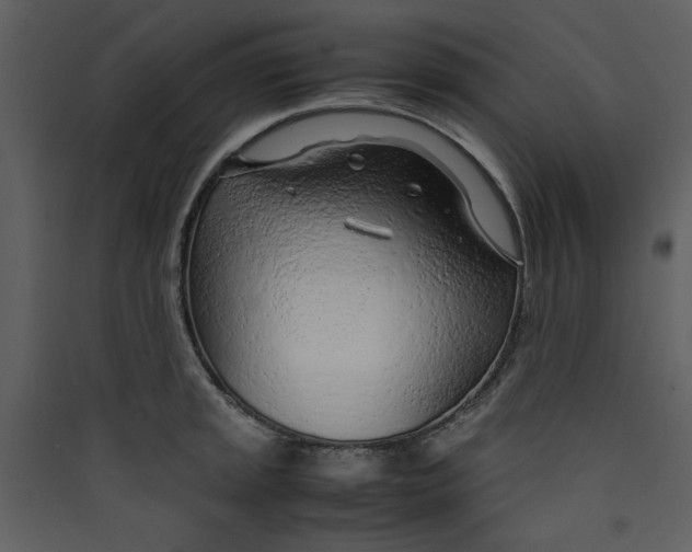 X0000089361045200707131611