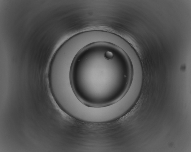 X0000089361046200707131611