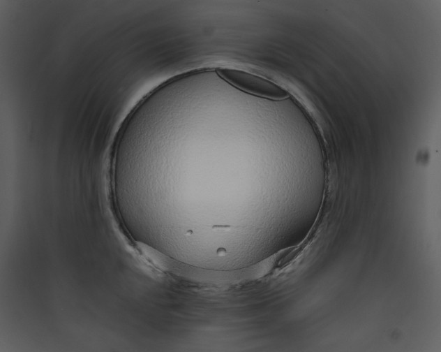 X0000089361048200707131611