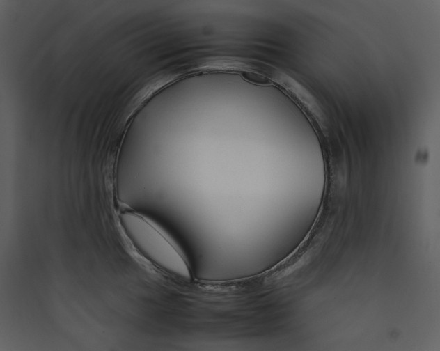 X0000089361049200707131611