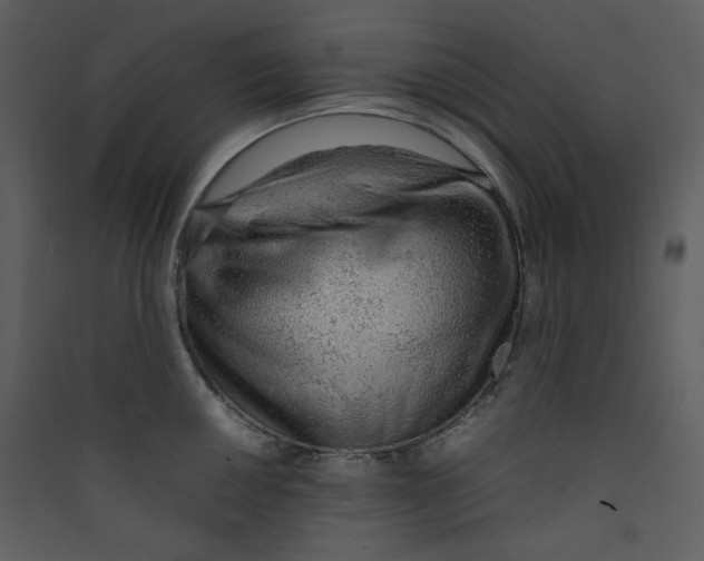 X0000089361050200707131611