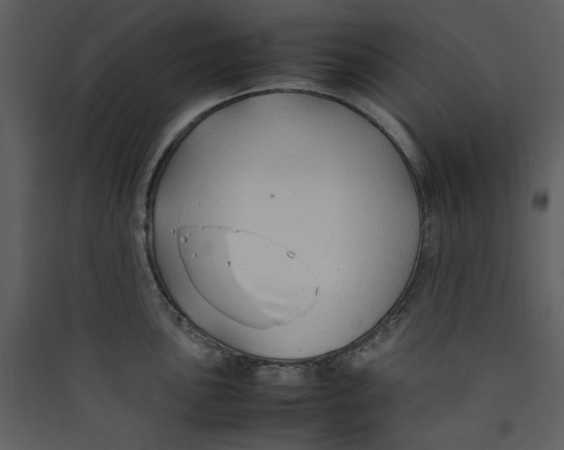 X0000089361051200707131611