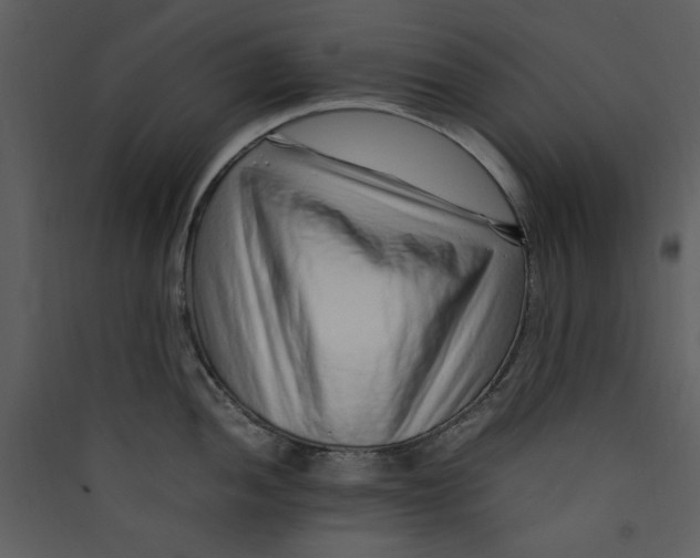 X0000089361052200707131611
