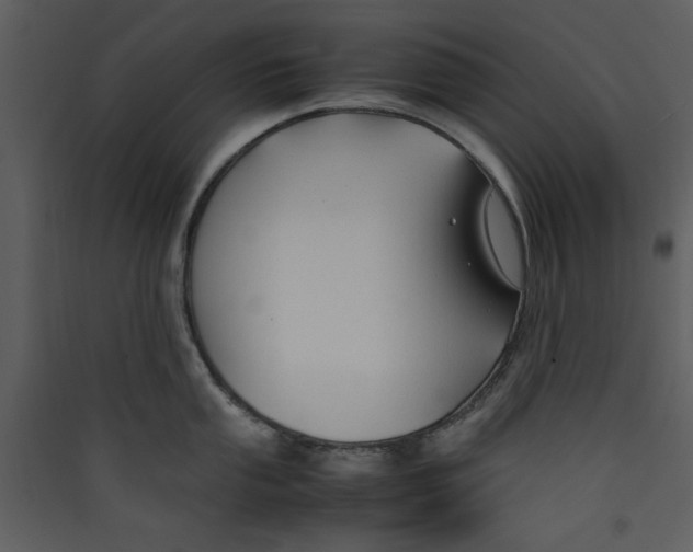 X0000089361053200707131611