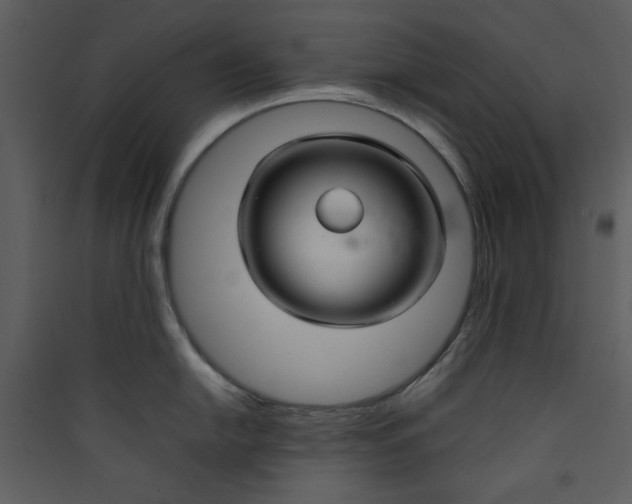 X0000089361054200707131611