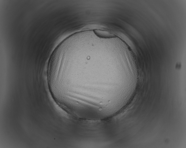 X0000089361055200707131611