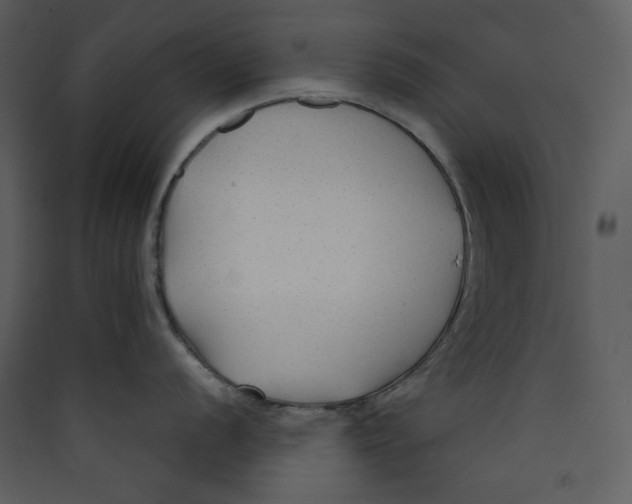 X0000089361056200707131611