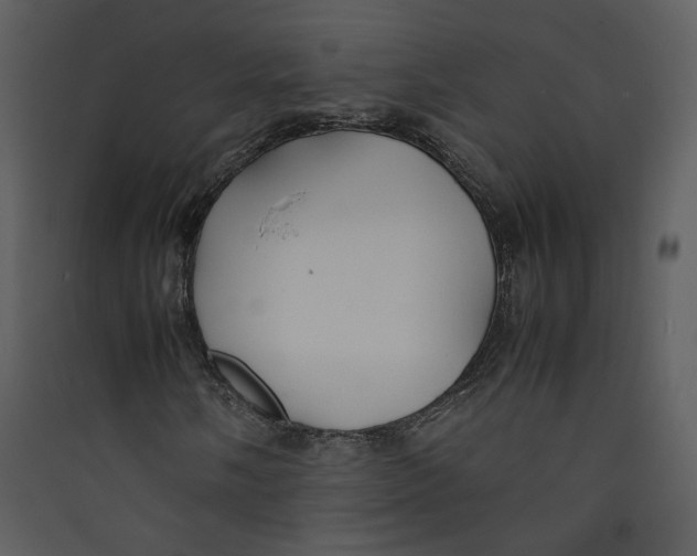 X0000089361058200707131610