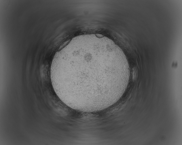 X0000089361059200707131610
