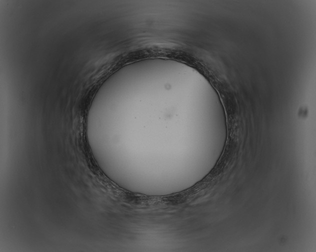X0000089361061200707131610