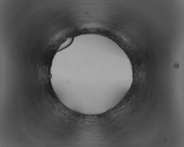 X0000089361062200707131610