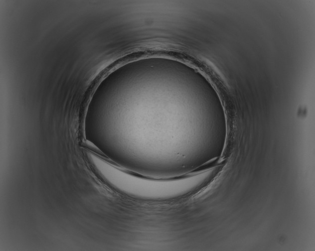 X0000089361065200707131610