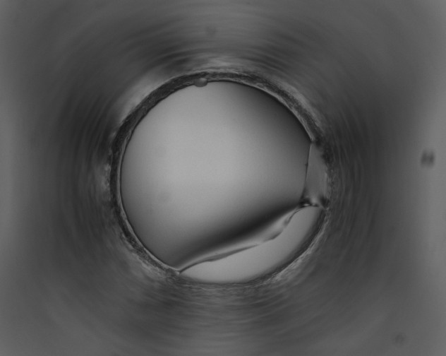 X0000089361066200707131610