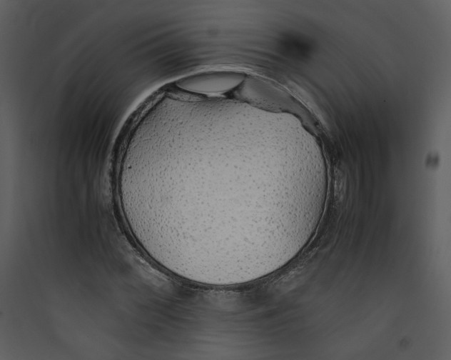 X0000089361068200707131610