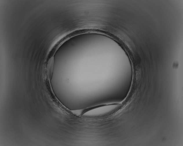 X0000089361069200707131610