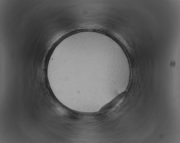 X0000089361071200707131610